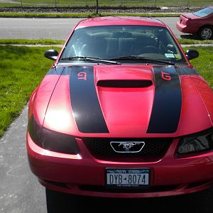 WOLFS STANG