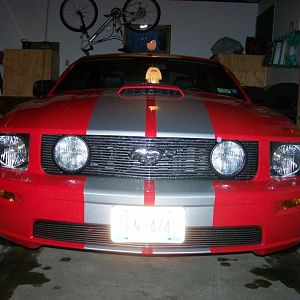 07 mustang GT