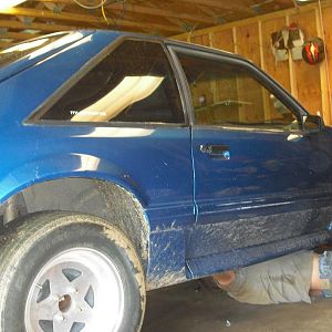 my stang