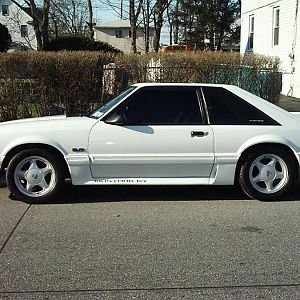My Past Mustangs