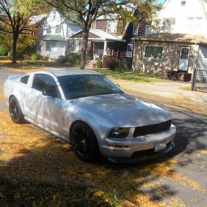 stang
