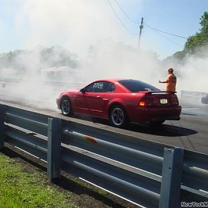 STANG1RL