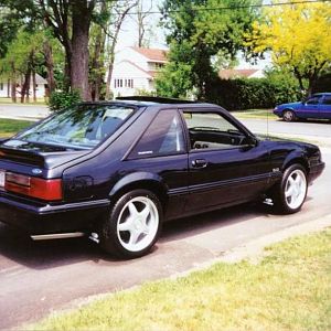 My past Mustangs...