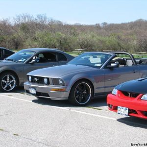 My Stang
