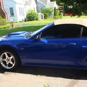 5% 3M TINT