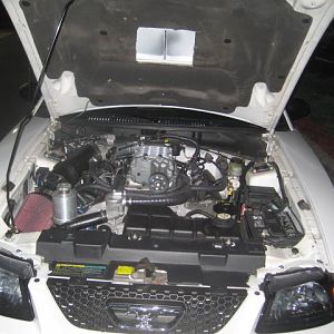 badasstang