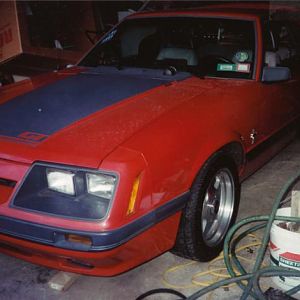 my past mustangs