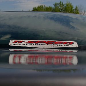 ColdCougar's Stang