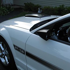 Hood scoop