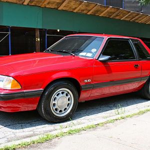 The Tint Shop Mustangs