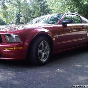 05 gt