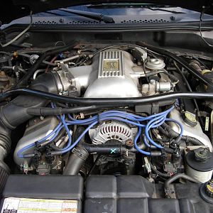 1996 SVT cobra