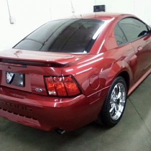 mustang