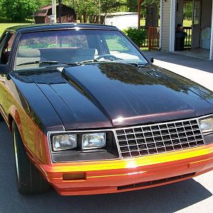 81stang project