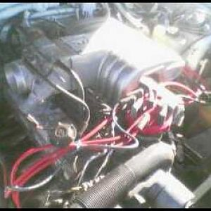 97 mustang