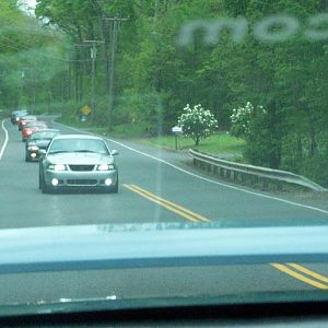 SilverstreakSVT's 03 Cobra