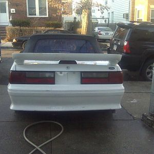 1sick89svert stang