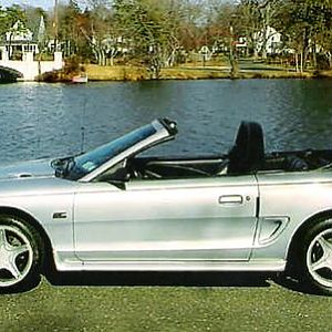 My Old Mustangs