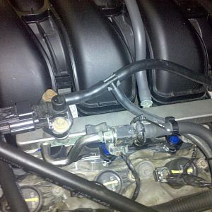 New Hood Install!