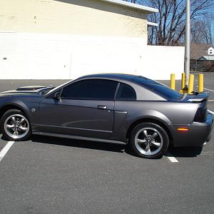 My Stang