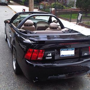 My Centennial Stang