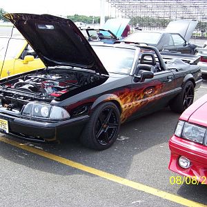 my stang
