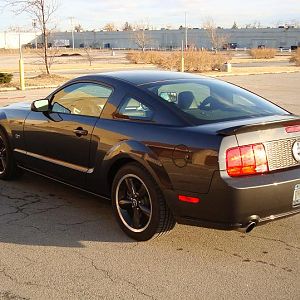 Adam's S197