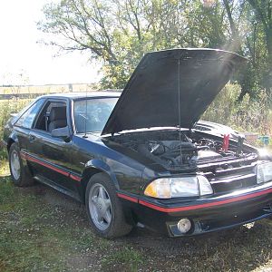 My 87 Stang