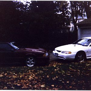 97 Mustang Cobra