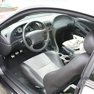 03 Mustang Cobra