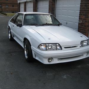 my stangs