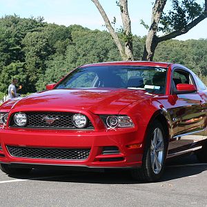 Mustang