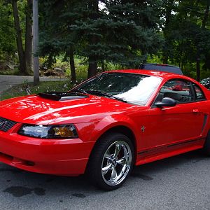 V6 Cruiser
