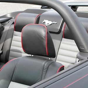 NEW INTERIOR!!!