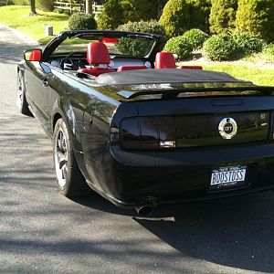 Spring Stang Pics