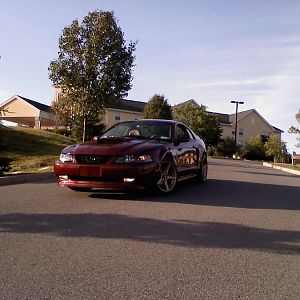 New Stangy