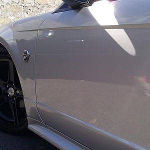 The Stang