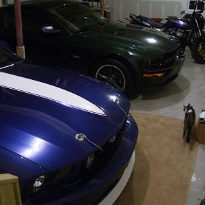 2009 Bullitt
