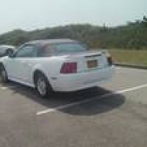 2000 vert