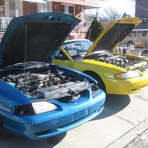 my 95