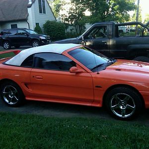 Mustang