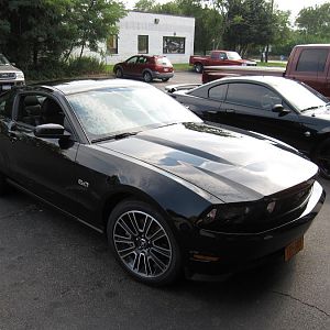 The Mustang