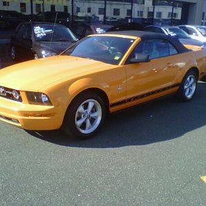 My First Mustang
