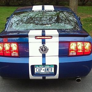 My Stang