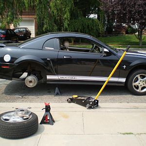 Working on stang