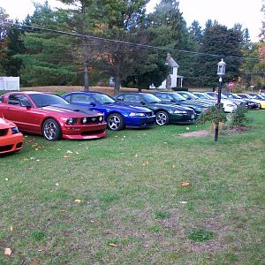 vets cruise
