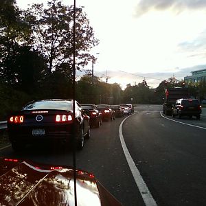 my stang.