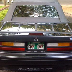 My Mustang