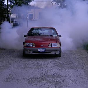 Junk Mustang