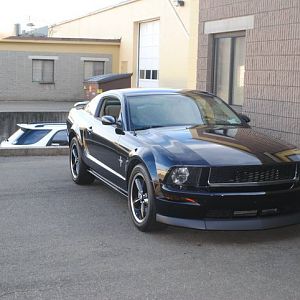 Stang